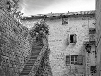 Kotor